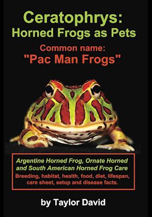 Ceratophrys: Horned Frogs as Pets: Common name: 'Pac Man Frogs'