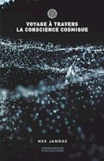 Voyage à travers la conscience cosmique 