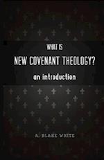 What Is New Covenant Theology? an Introduction