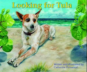 Looking for Tula