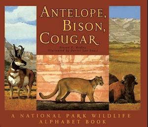 Antelope, Bison, Cougar