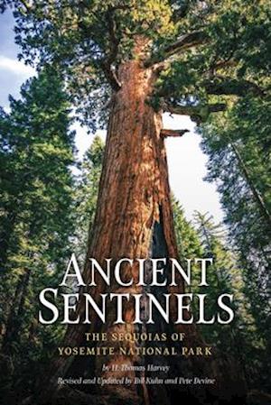 Ancient Sentinels