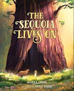The Sequoia Lives on