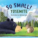 So Small! Yosemite