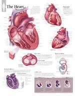 Heart Paper Poster