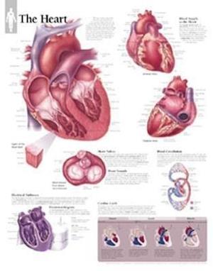 The Heart Chart