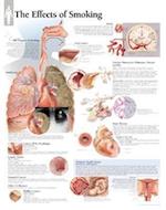 Effects of Smoking Chart