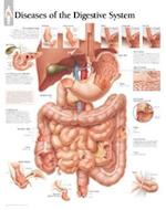 Diseases of Digestive System Chart