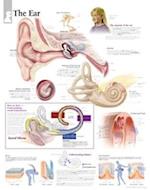 The Ear Chart