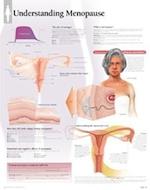 Understanding Menopause Chart