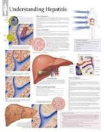 Understanding Hepatitis Chart