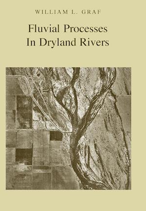 Fluvial Processes in Dryland Rivers