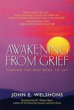 Awakening from Grief