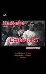 La Estela de Caicedo: Miradas Críticas