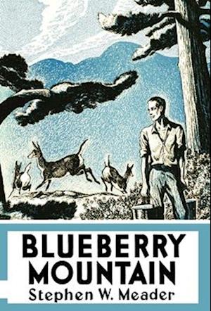 Blueberry Mountain