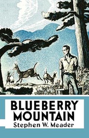 Blueberry Mountain