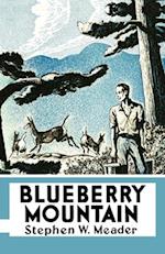 Blueberry Mountain