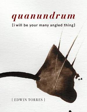 Quanundrum