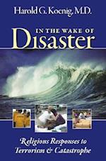 In the Wake of Disaster