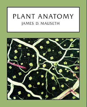 Plant Anatomy