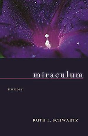 Miraculum