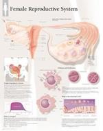 Understanding Nutrition Chart