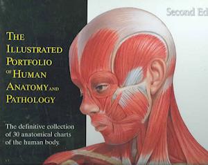 Illustrated Portfolio of Human Anatomy & Pathology, 2nd Edition