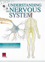 Publishing, S: Understanding the Nervous System Flip Chart
