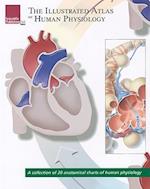 The Illustrated Atlas of Human Physiology