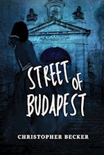 Street of Budapest 