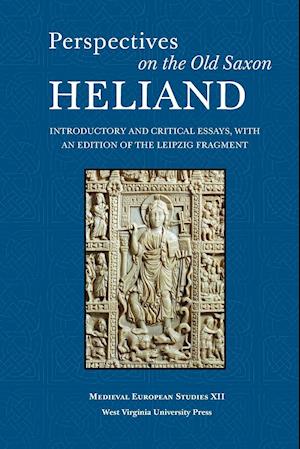 Perspectives on the Old Saxon Heliand