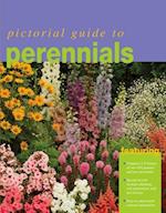 Pictorial Guide to Perennials