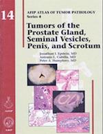 Tumors of the Prostate Gland, Seminal Vesicles, Penis, and Scrotum