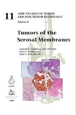 Tumors of the Serosal Membranes