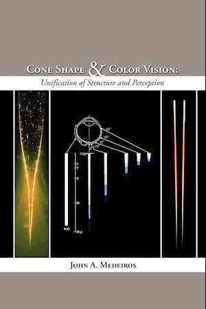 Cone Shape and Color Vision