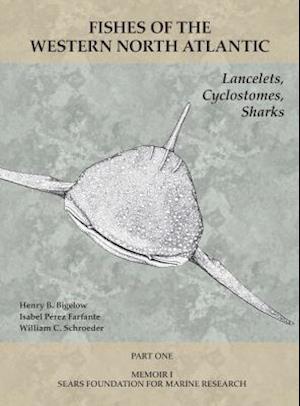 Lancelets, Cyclostomes, Sharks