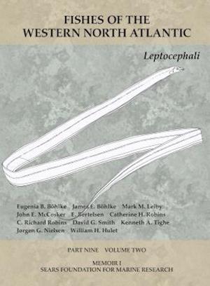 Leptocephali