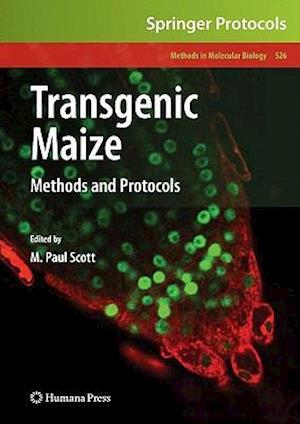 Transgenic Maize