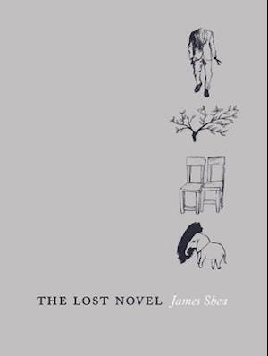 The Lost Novel