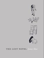 The Lost Novel