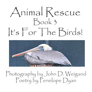 Animal Rescue, Book 3, It's for the Birds!