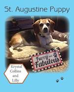 St. Augustine Puppy