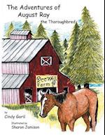 The Adventures of August Ray the Thoroughbred