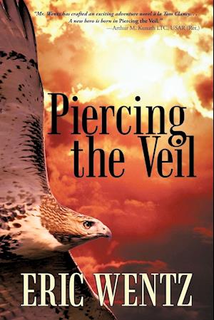 Piercing the Veil