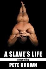 A Slave's Life