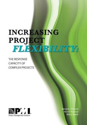 Floricel, S:  Increasing Project Flexibility