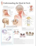 Understanding the Head & Neck Wall Chart