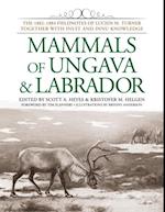 Mammals of Ungava and Labrador