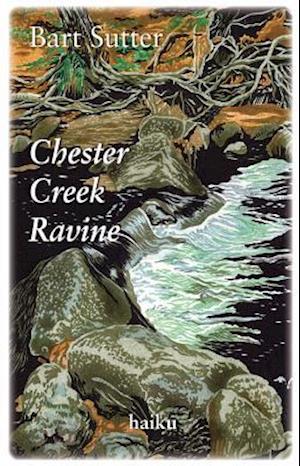 Chester Creek Ravine