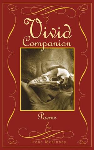 VIVID COMPANION